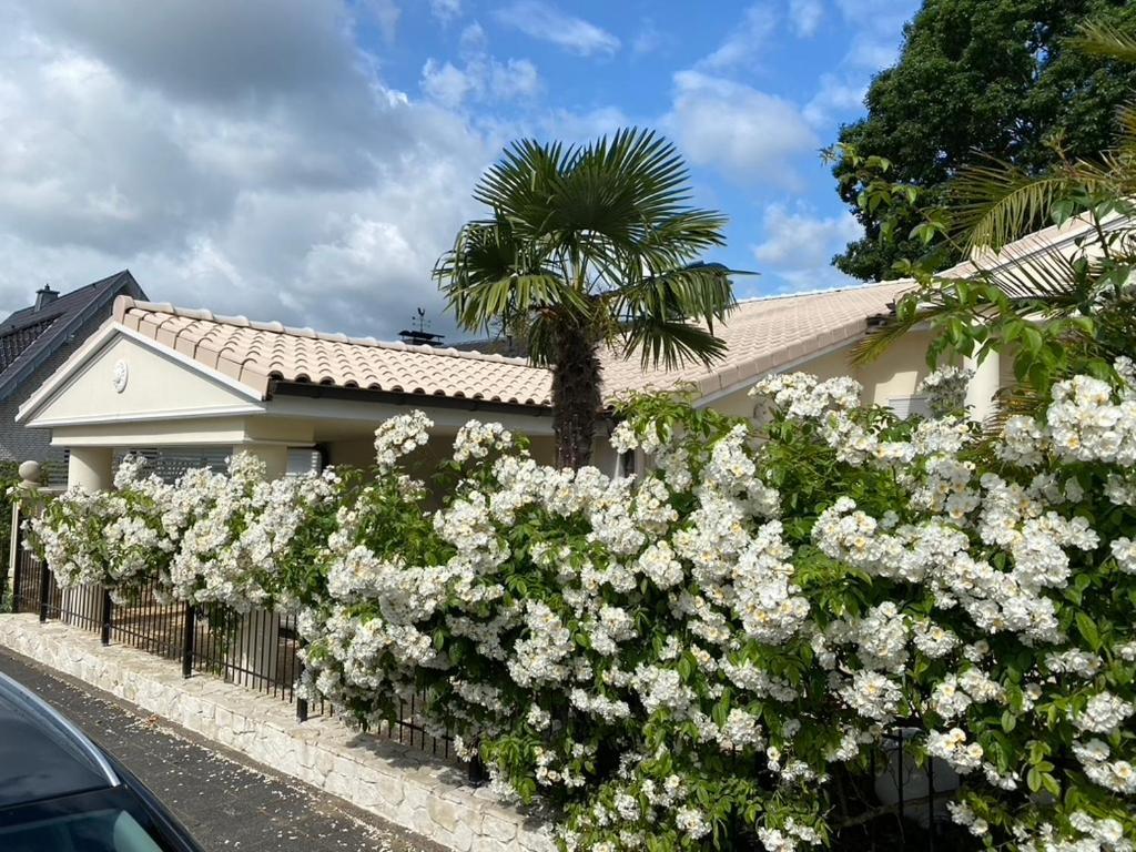 Wilsmann Apartmentvermietung Hövelhof المظهر الخارجي الصورة