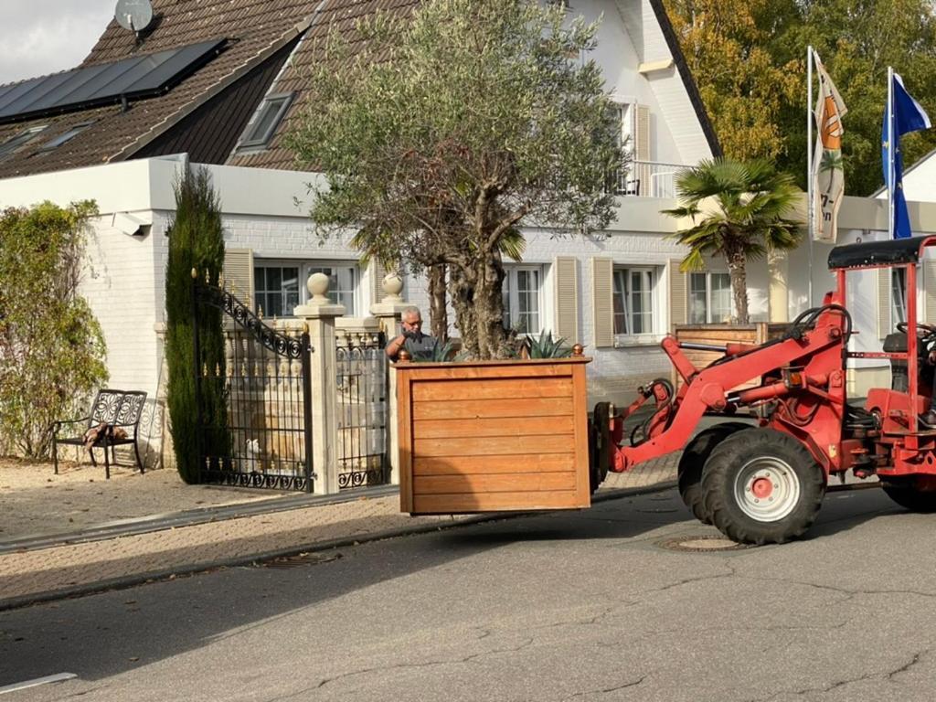 Wilsmann Apartmentvermietung Hövelhof المظهر الخارجي الصورة