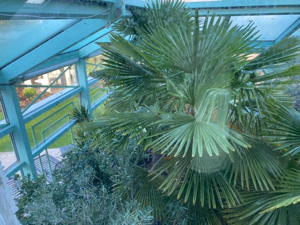Wilsmann Apartmentvermietung Hövelhof المظهر الخارجي الصورة