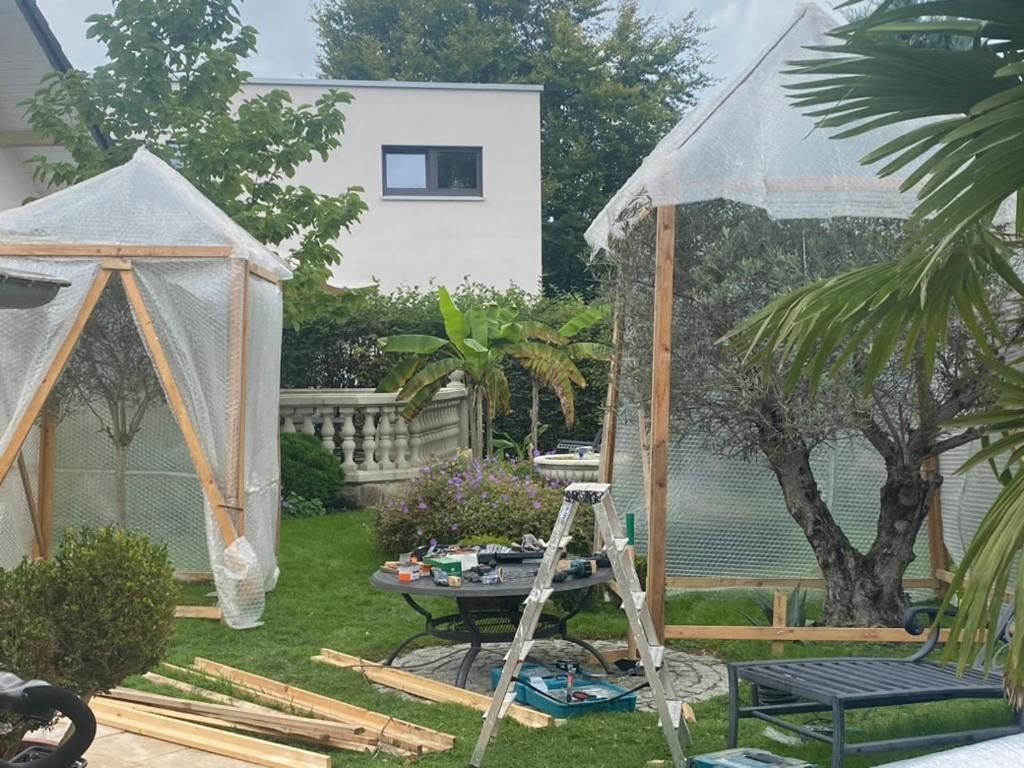 Wilsmann Apartmentvermietung Hövelhof المظهر الخارجي الصورة
